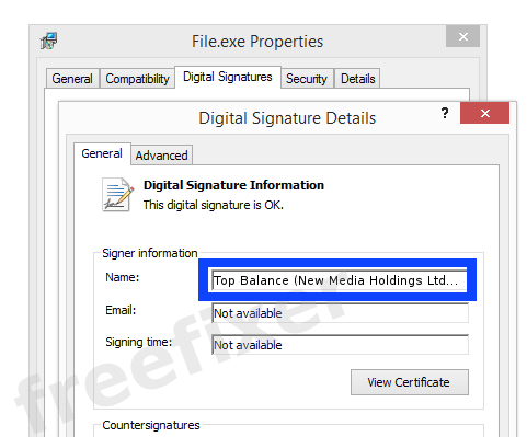 Screenshot of the Top Balance (New Media Holdings Ltd.) certificate